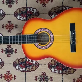 Focus gitara