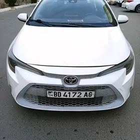 Toyota Corolla 2020