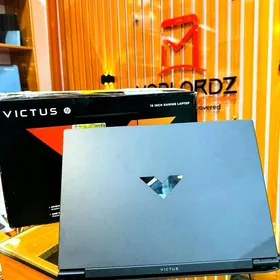 RTX 30/40 | RAM 16/24 |SSD 1TB