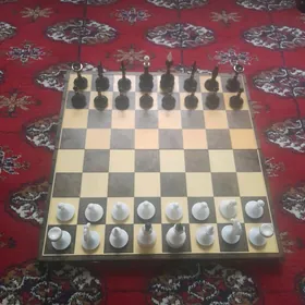 Шахматы/Küşt