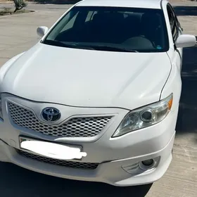 Toyota Camry 2010