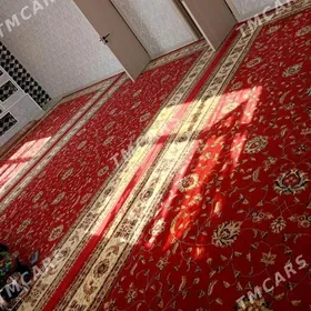 халыы