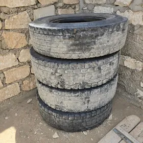 saylun ayak