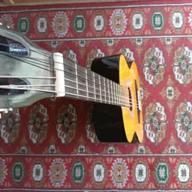 Gitara owrenmek ucin
