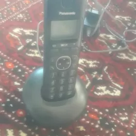 Domasni telefon