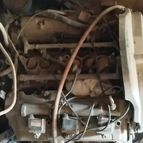 3.4 diwitil