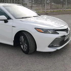 Toyota Camry 2019