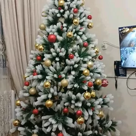 Ỳolka