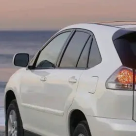 RX 330 DIVITYL