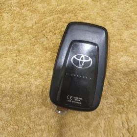 camry pult