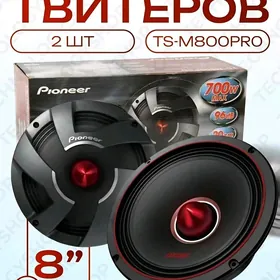 Pioneer Kalonka