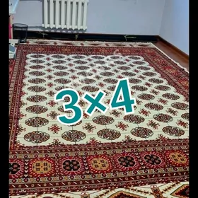 haly 3×4