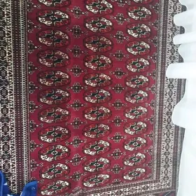 haly 2metrlik