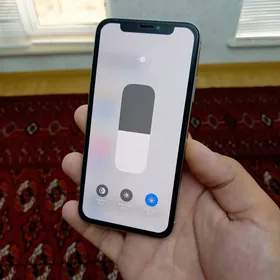 iPhone X