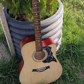 gitara tansen