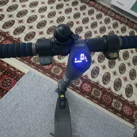 Samokat