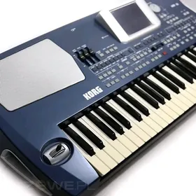 Korg pa 500