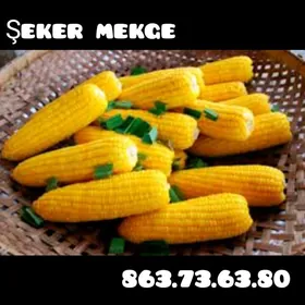 Mekgejöwen