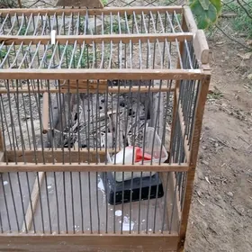 клетка для попугая
