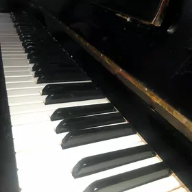 pianino pianina