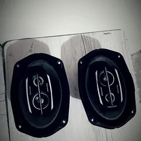 pioneer Nikl