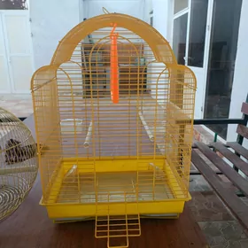 papugay kletka