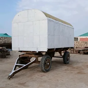 wagon