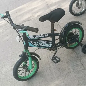 tigir 12lik