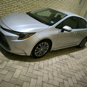 Toyota Corolla 2020