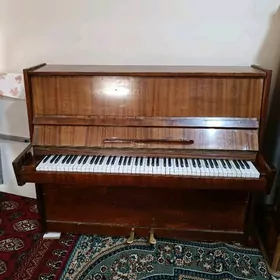 pianino Kuban