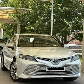 Toyota Camry 2019