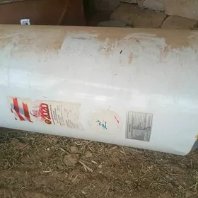 bolletboller