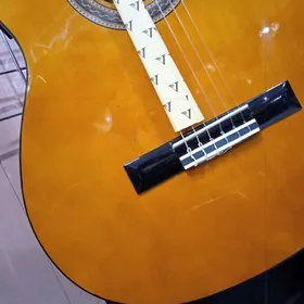 gitara klassik elektro