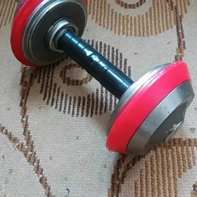 GANTEL (Гантели)