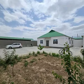 Bagyr Mirewe Багир