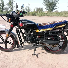 Fekon FK150-8G 2022