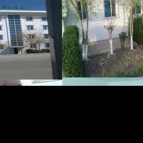 satlyk jaý