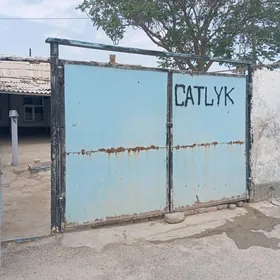 Dusak satlyk jay