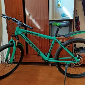 SALCONA  SPORTIWNY