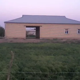 satlyk jat