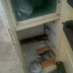 Haladulnik