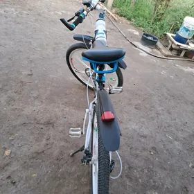 BMW welosipet