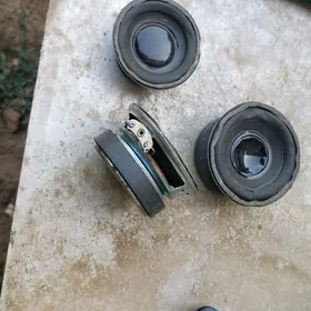 kalonka kick