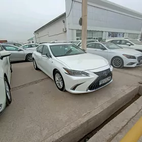 Lexus ES 350 2019