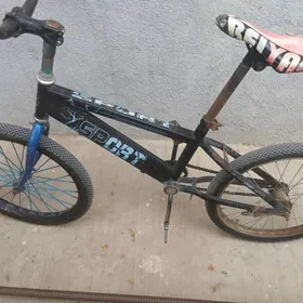 Tigir sport