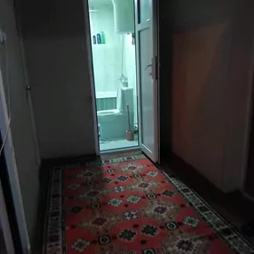 квартира
