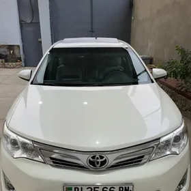 Toyota Camry 2013