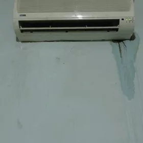 12 yoruk kansiner