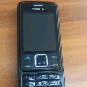 6300