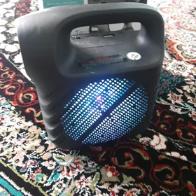 kalonka kici